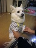 120223-1.jpg
