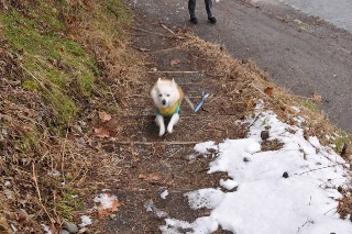 120226-k5.jpeg