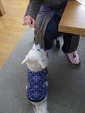120228-2.jpg