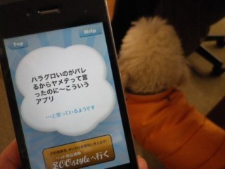 120228-4.jpg
