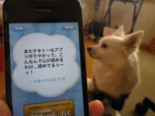 120228-5.jpg