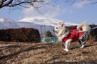 120303-k3.jpeg