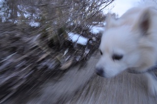 120303-k5.jpeg