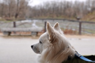 120310-k2.jpeg