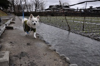 120310-k5.jpeg