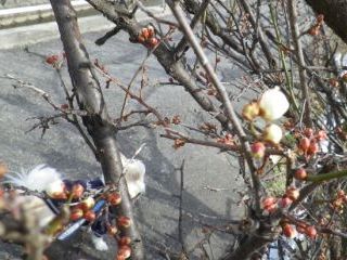 120312-3.jpg