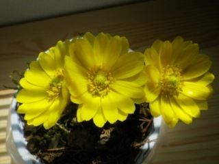 120319-3.jpg