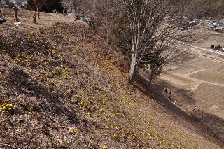 120320-k7.jpeg