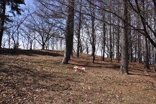 120325-k5.jpeg