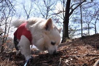 120325-k6.jpeg