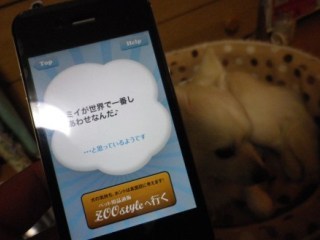120326-3.jpg