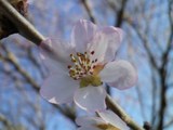 120404-3.jpg