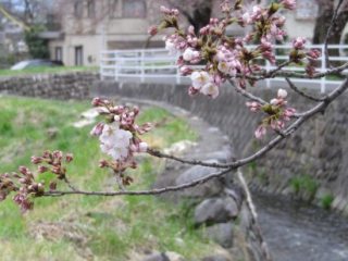120416-2.jpg