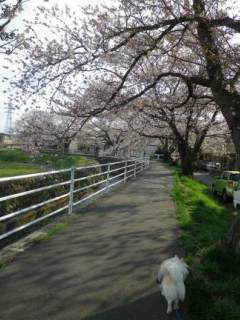 120418-1.jpg