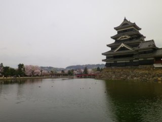 120420-5.jpg