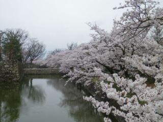 120420-7.jpg