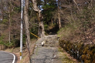 120421-k17.jpeg