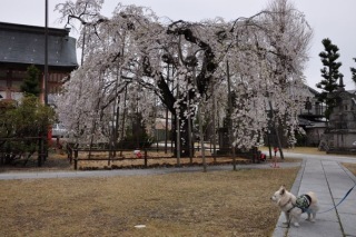 120422-k5.jpeg