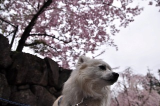 120430-k10.jpeg