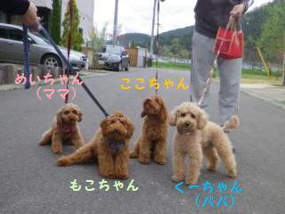 120502-1.jpg