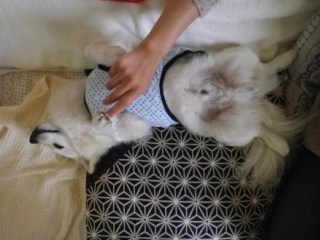120503-k1.jpg