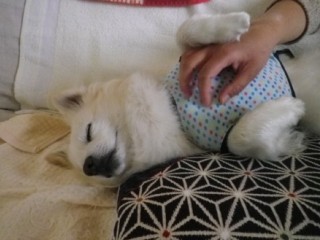 120503-k2.jpg