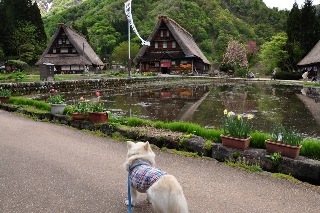 120504-k10.jpeg
