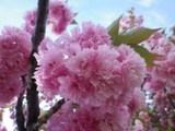 120506-4.jpg