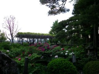 120509-3.jpg