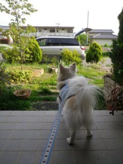 120519-2.jpg