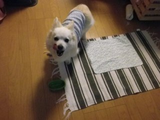 120519-6.jpg