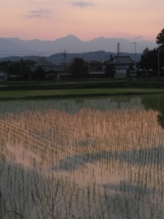 120524-6.jpg