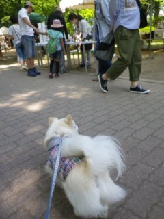 120527-1.jpg