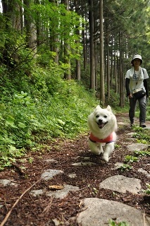 120602-k11.jpeg