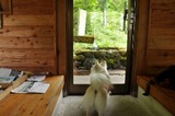 120602-k16.jpeg