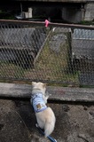 120610-k5.jpeg