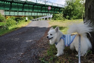 120610-k7.jpeg