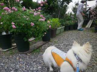 120618-6.jpg