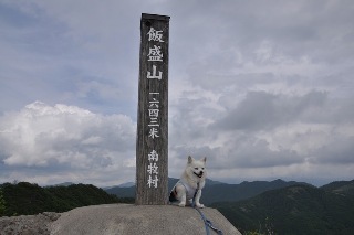 120624-k9.jpeg