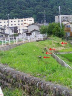 120625-2.jpg