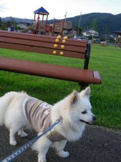 120626-3.jpg