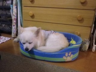120706-1.jpg
