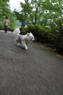 120707-k1.jpeg