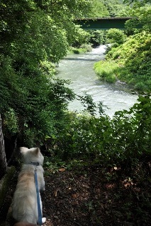 120708-k12.jpeg
