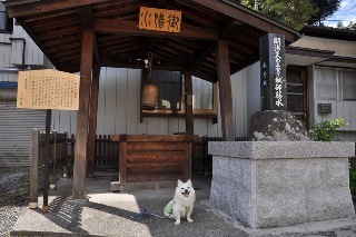 120708-k5.jpeg
