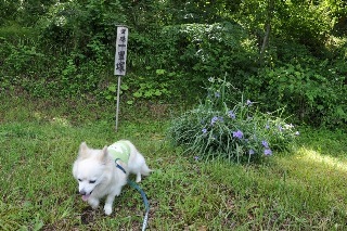 120708-k7.jpeg