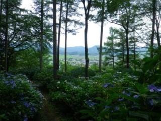 120722-1.jpg