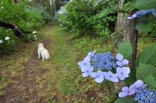 120722-k8.jpeg