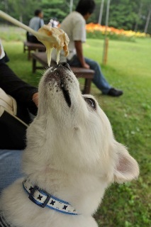 120729-k5.jpeg