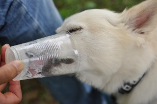 120729-k6.jpeg
